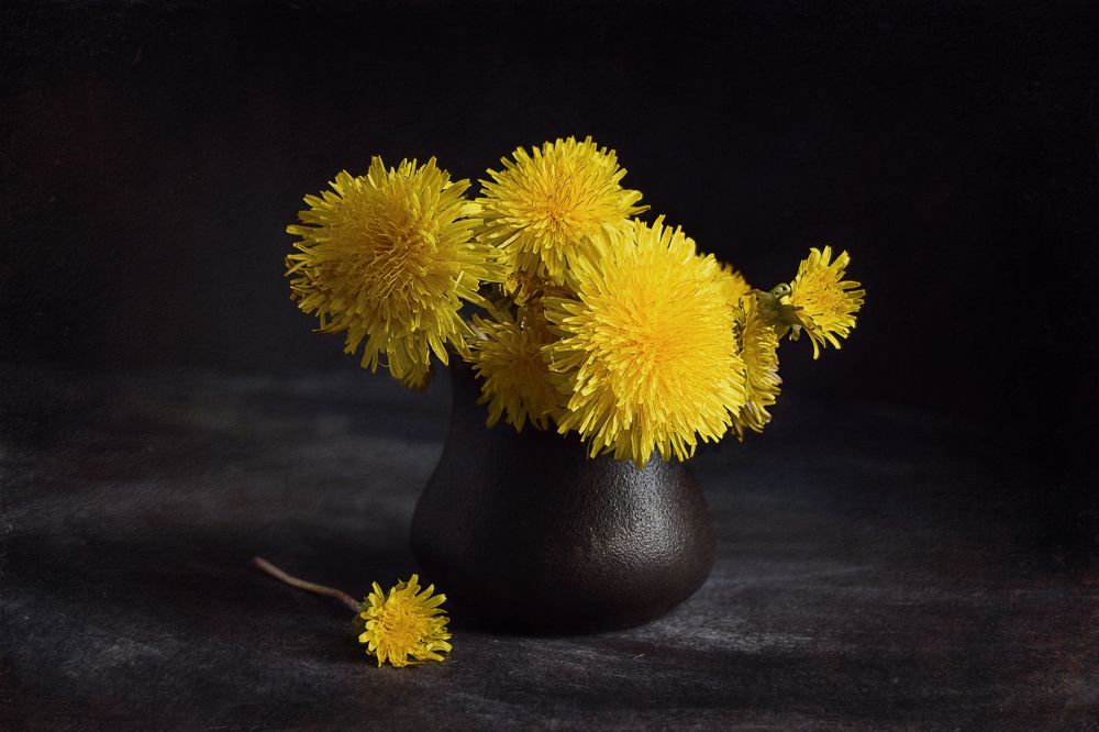 Photograph by Марина Хаева