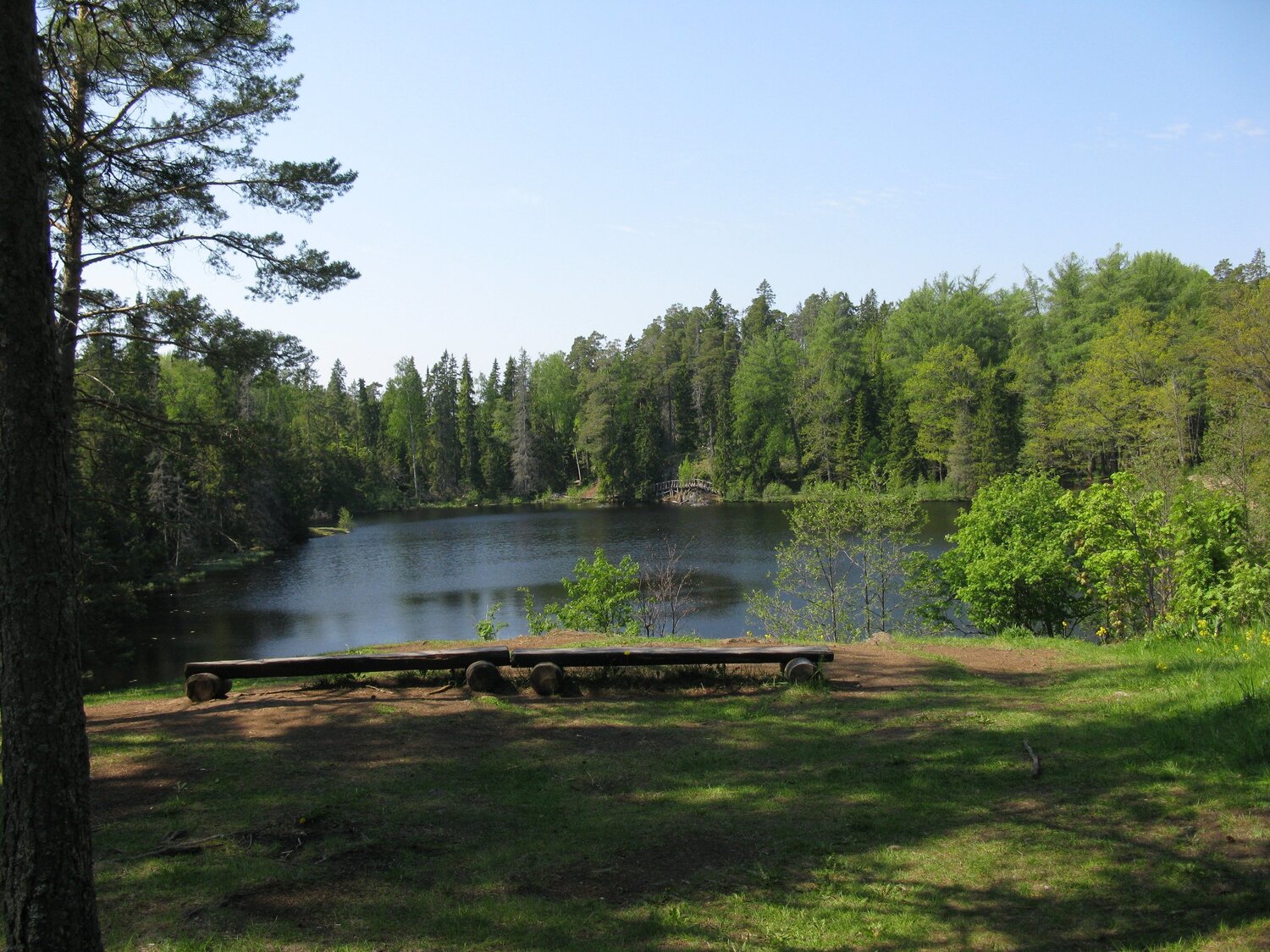 Photo #5723465