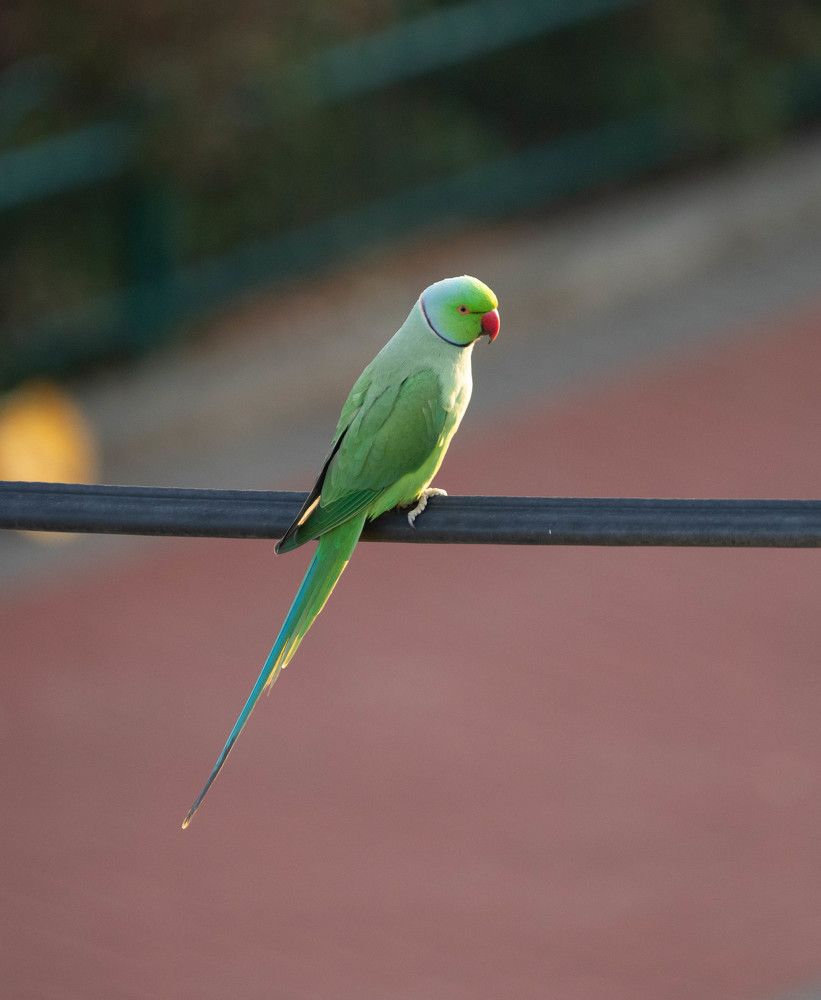 Photograph by MICHAEL SHVARTS