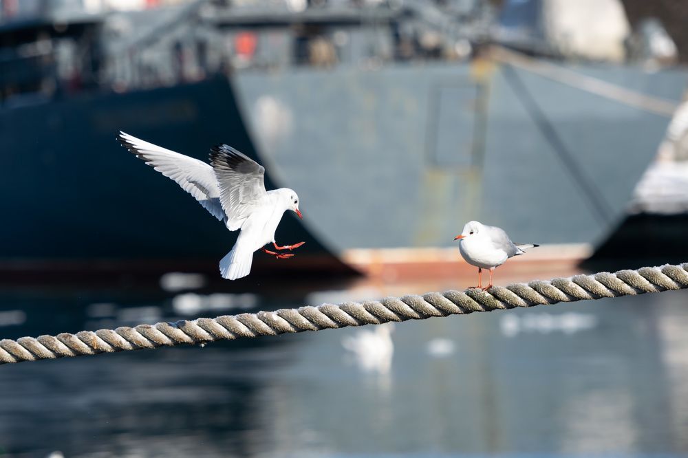 Photograph by Павел Юнусов