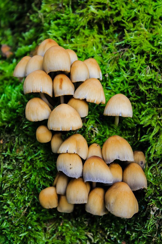 Photograph by Elizaveta Semenova