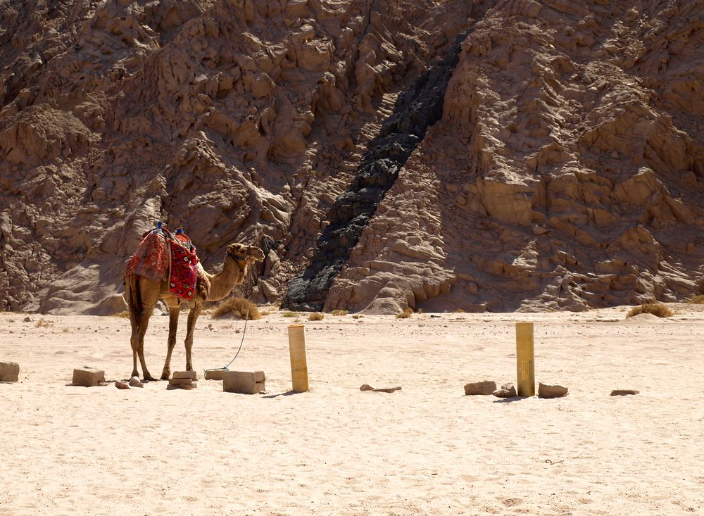 Photograph by Сергей Пупков