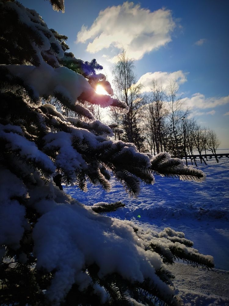 Photograph by Любовь Тарасова