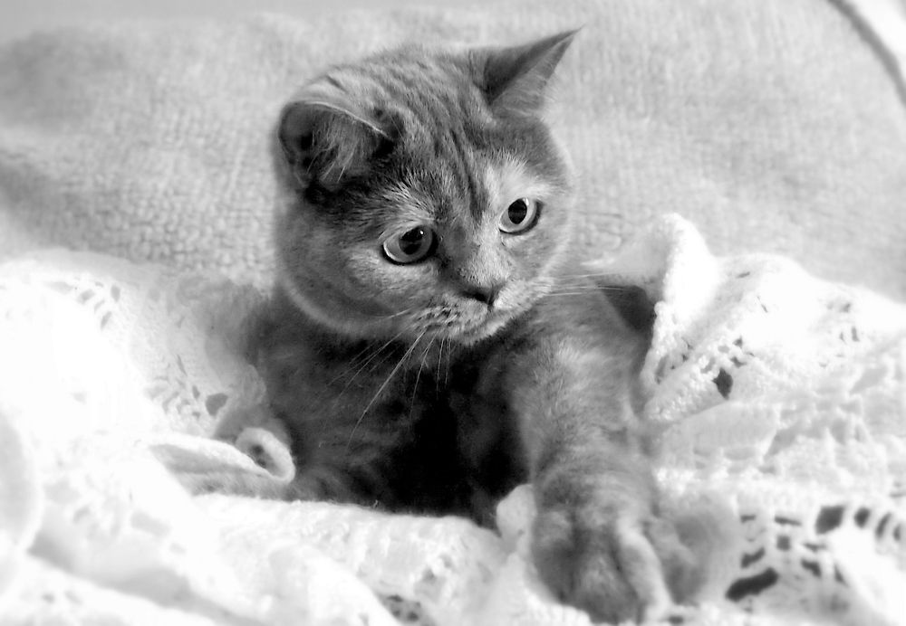 Photograph by Жанна Валиева