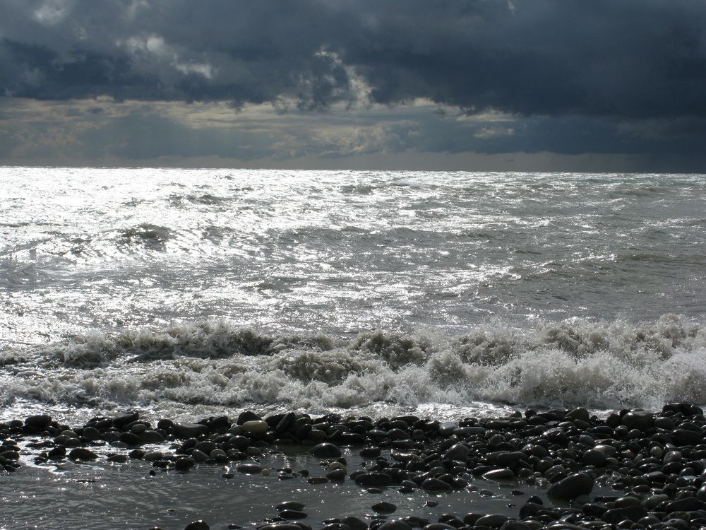 Photo #5723636