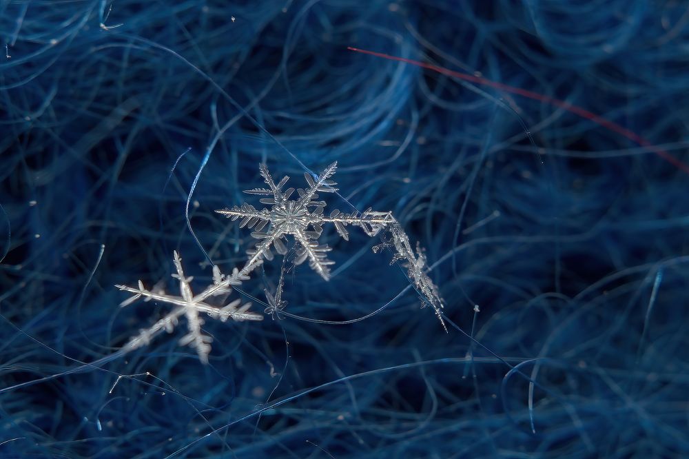 Photograph by Сергей Пискарёв