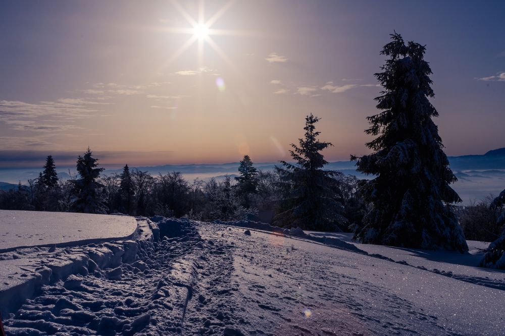 Photograph by Dominik Lipka