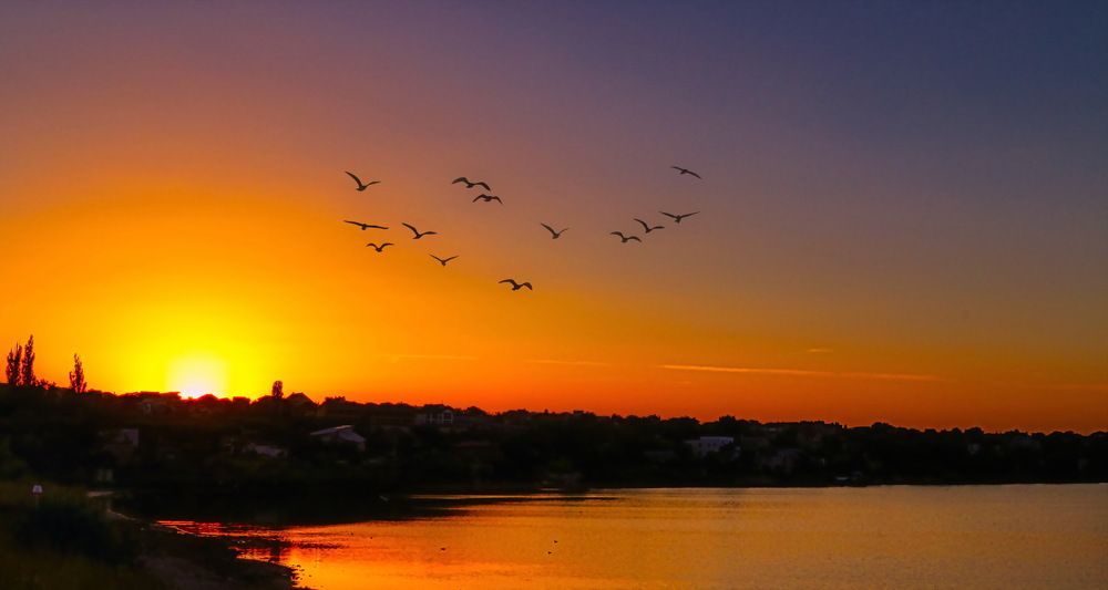 Photograph by Фаина Зеленая