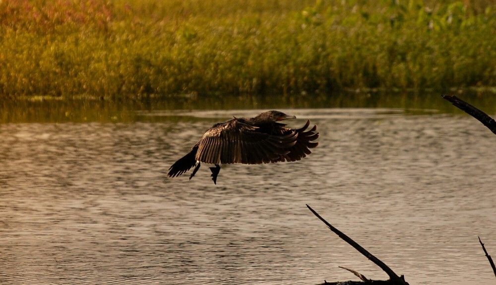 Photograph by Aryan Paradkar