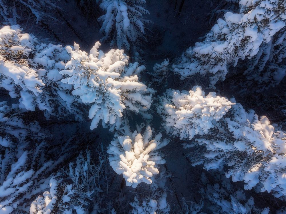 Photograph by Устюжанин Михаил