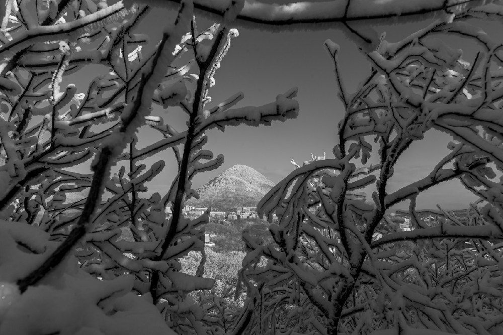 Photograph by Максим Леонтьев