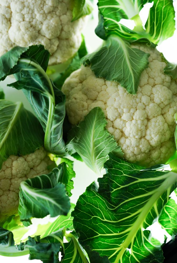 Photograph by Ольга Драч