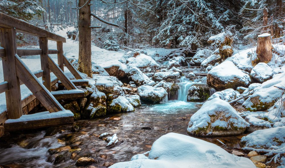 Photograph by Michał Maciak