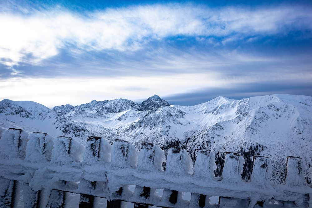 Photograph by Michał Maciak