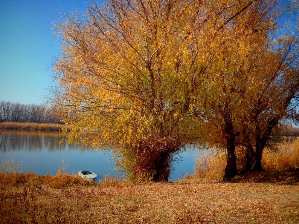 Photograph by Елена Васильева