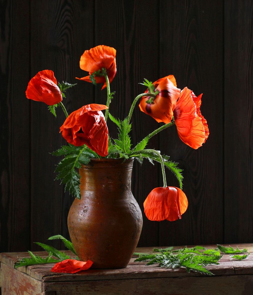 Photograph by Наталья Казанцева