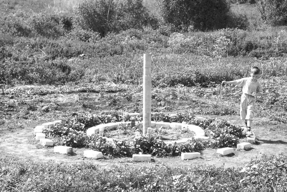 Photograph by Виктор Данилов