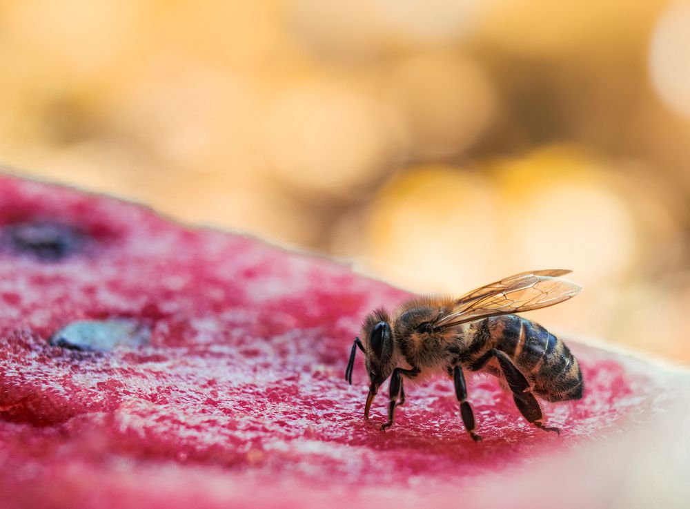 Photograph by Эн Скляров