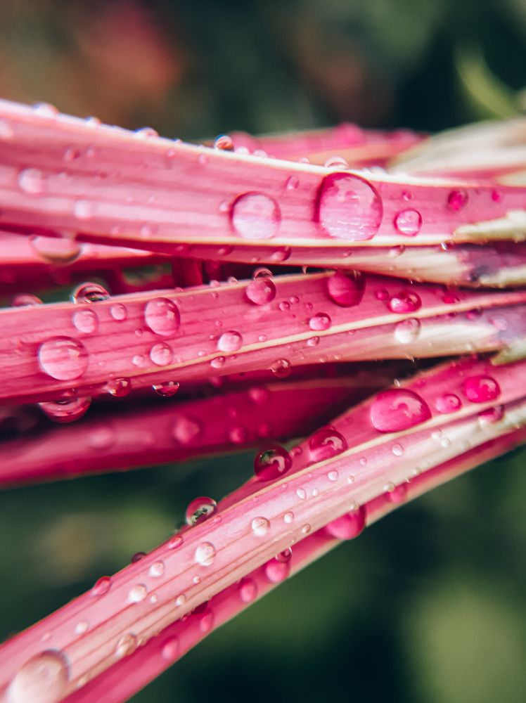 Photograph by Мария Глотова