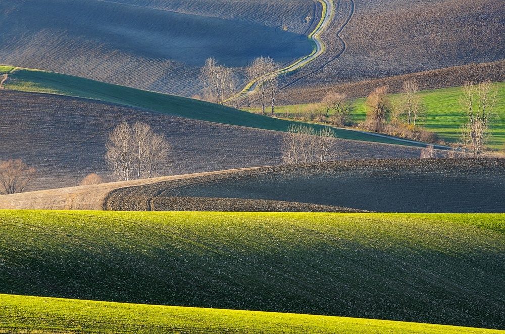 Photograph by Radim Ziman