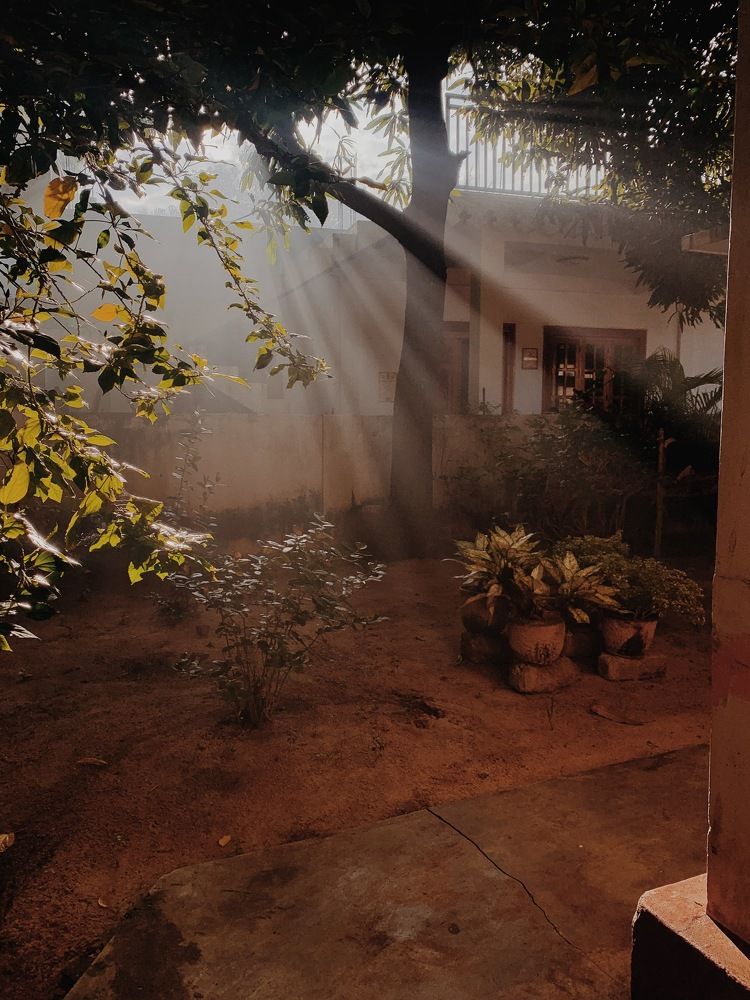 Photograph by Sriram Rajeswaran