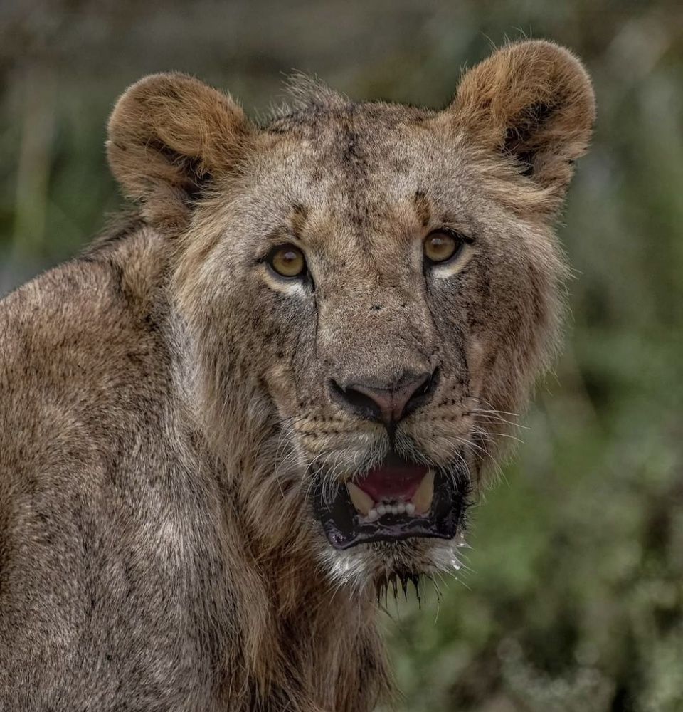 Photograph by Hitesh Kerai