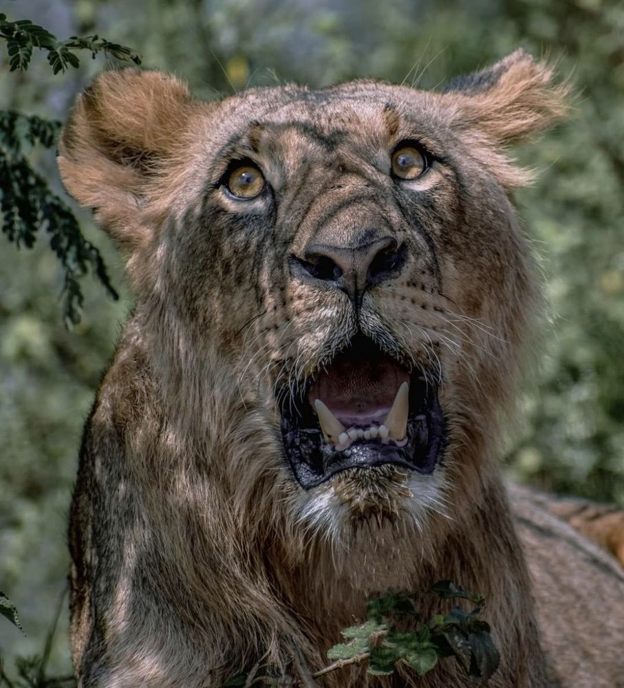 Photograph by Hitesh Kerai