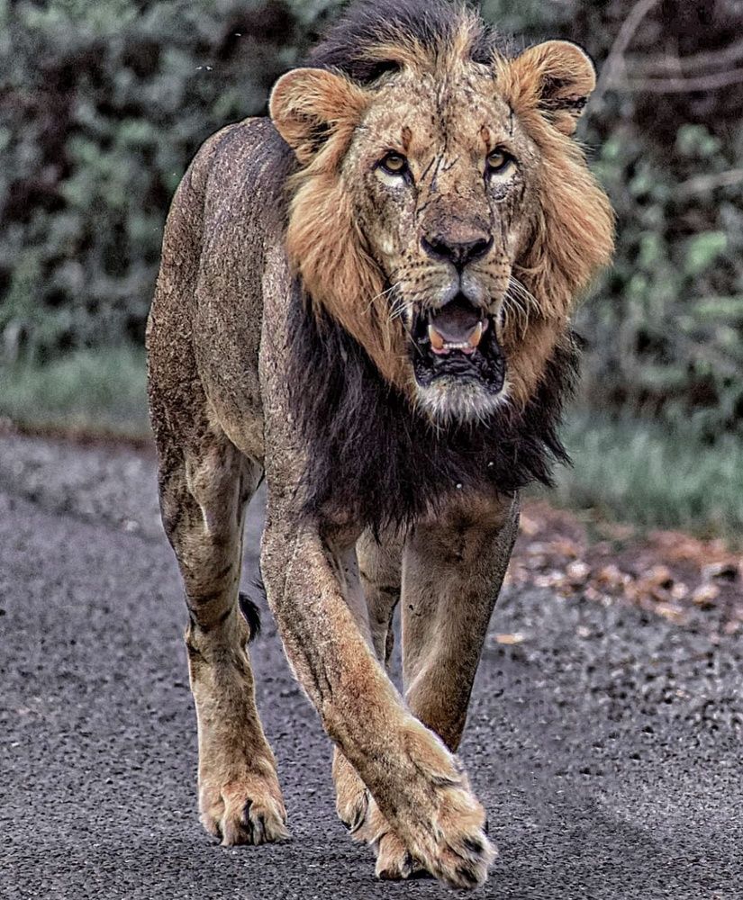 Photograph by Hitesh Kerai