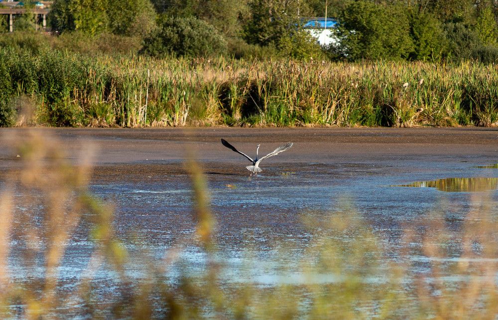 Фотография автора Владимир Оликов