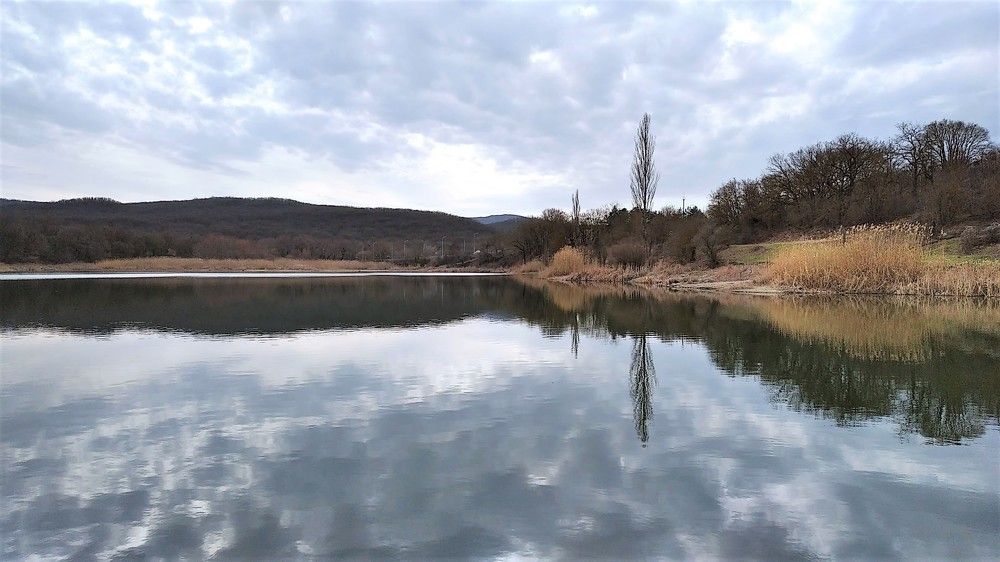Февральский день в Грушевке