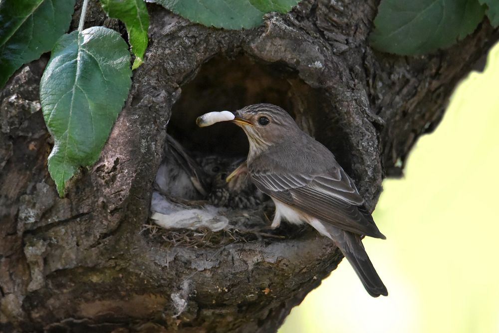 Photograph by Чернобай Анна