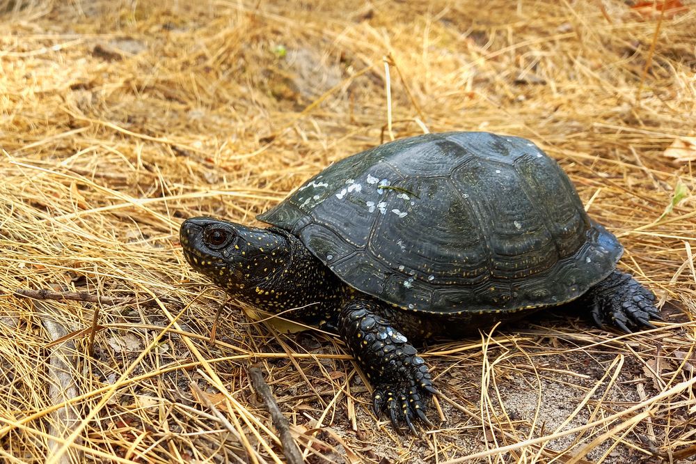 Photograph by Сергей Пупков