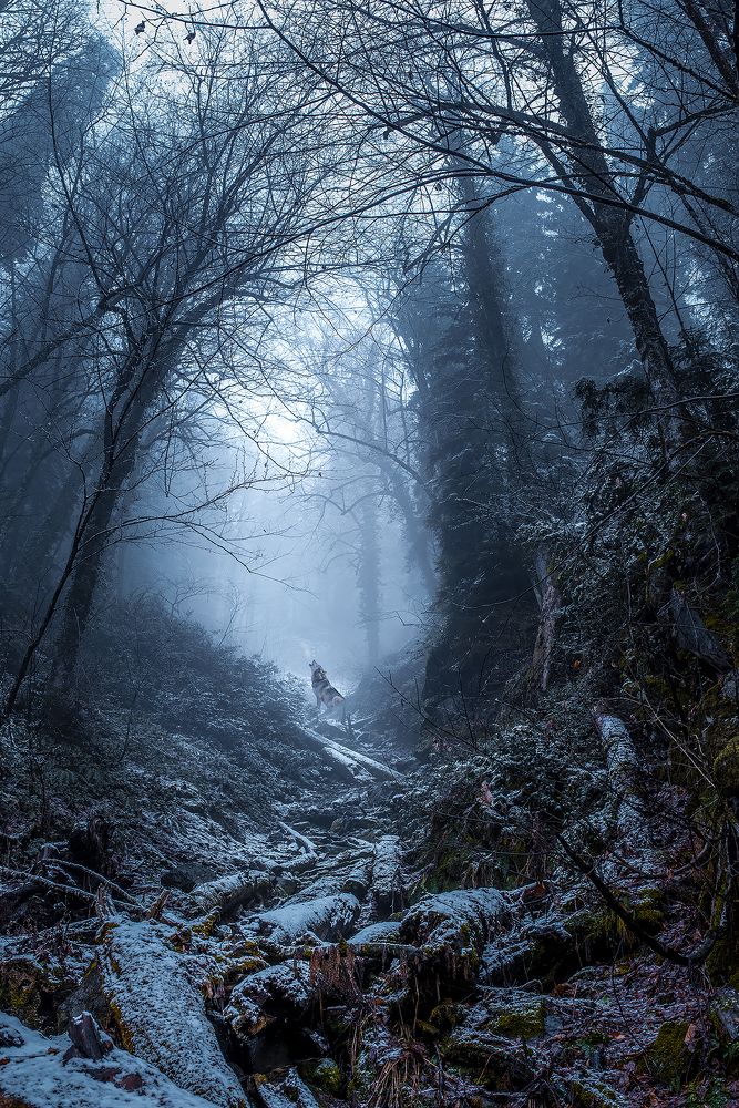 Photograph by Sergey Lexin