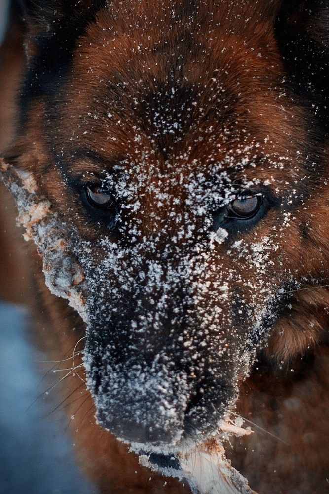 Photograph by Людмила Потапова