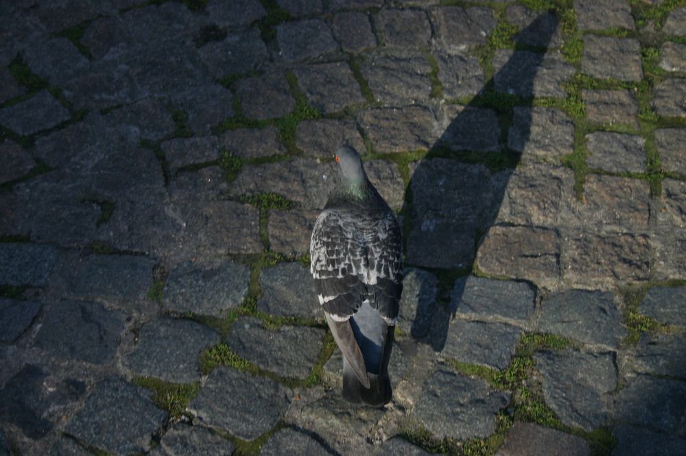 Photograph by Iveta Vladovičová