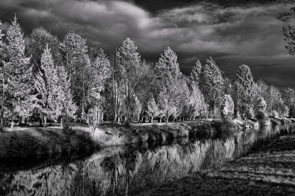 Photograph by Volkoff Mark