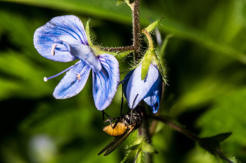 Photograph by Сергей Дикарев