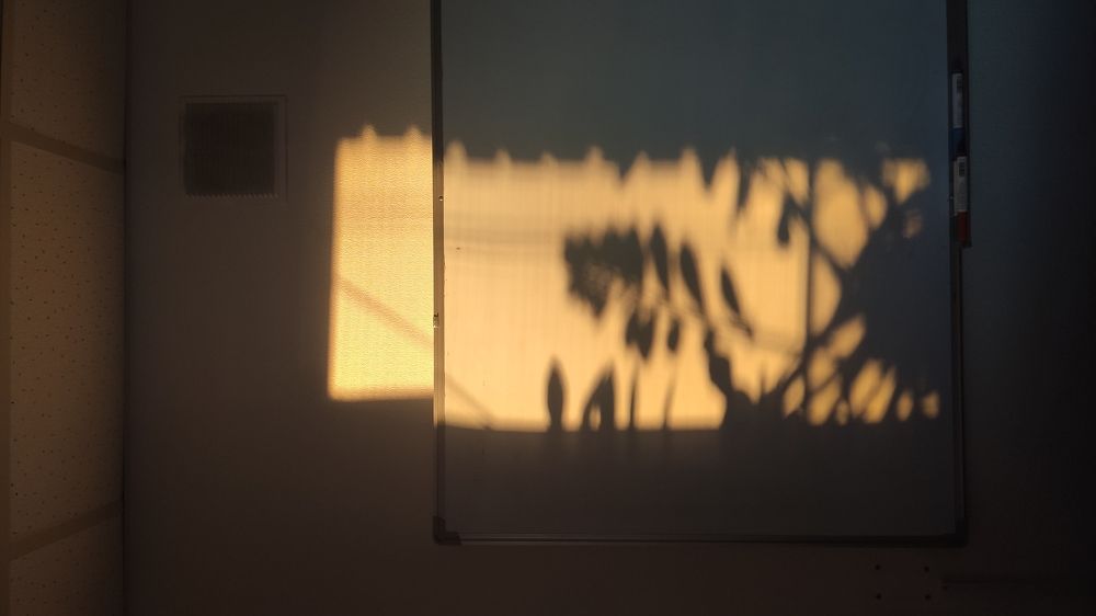 Photograph by Сергей Прохоров