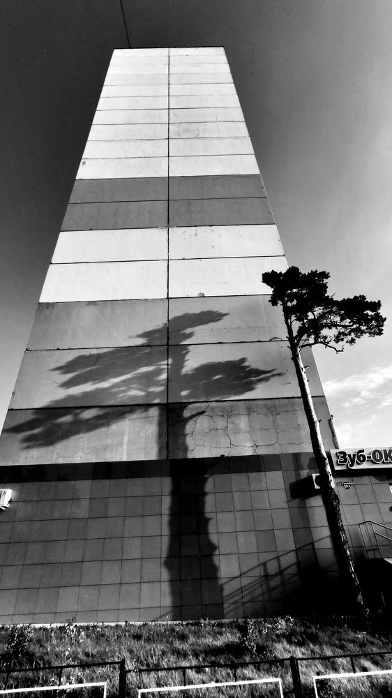 Photograph by Сергей Прохоров