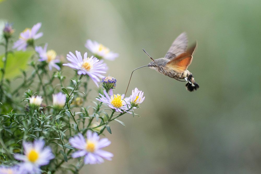 Photograph by Айша Кистаубаева