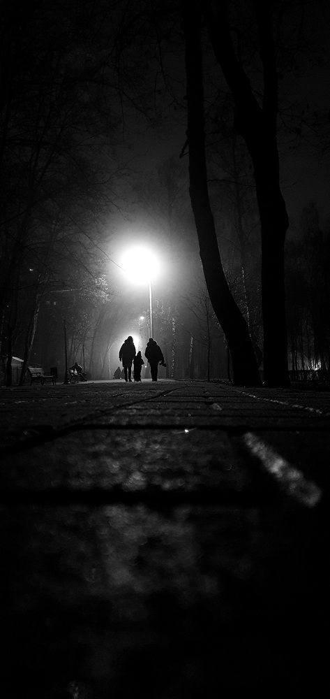 В тумане.