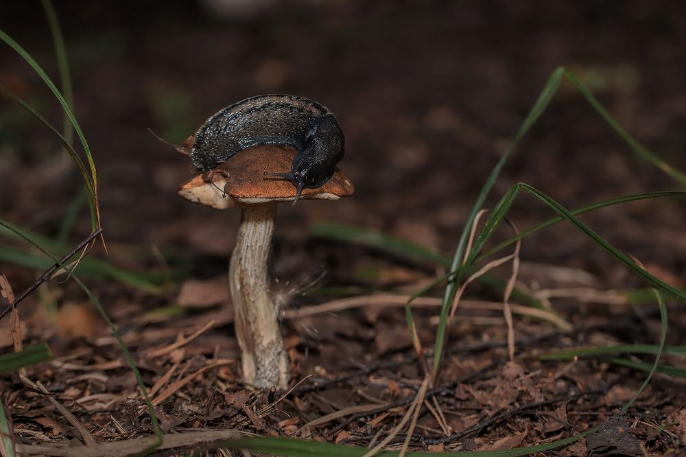 Photograph by Айша Кистаубаева