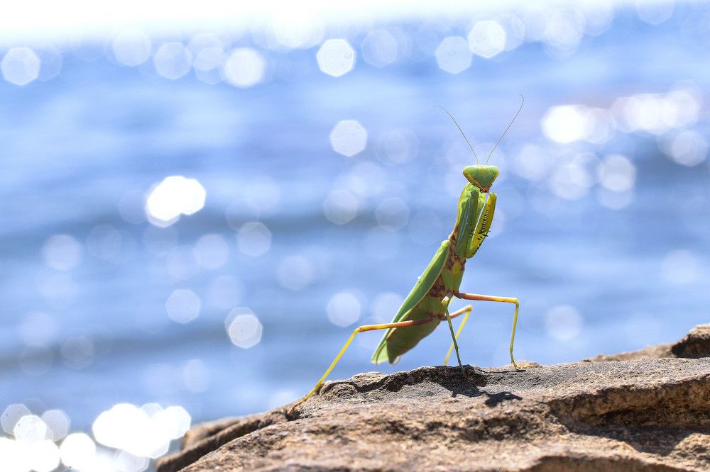 Photograph by Айша Кистаубаева