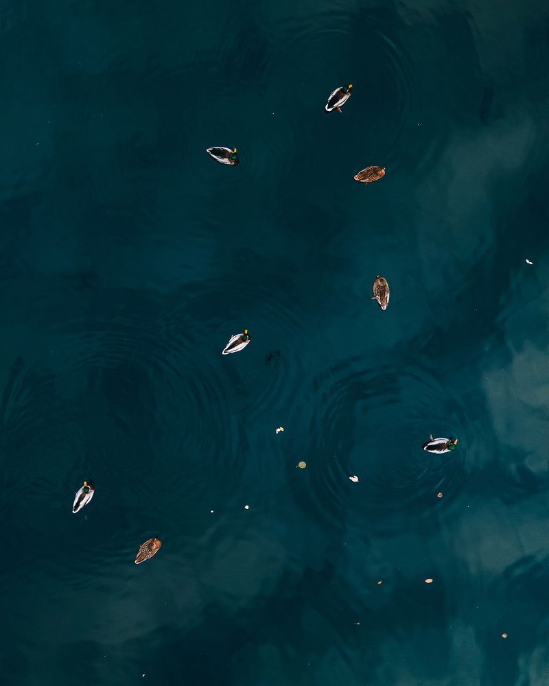 Photograph by Евгений Белан