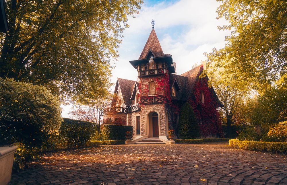 Фотография автора Майя Афзаал