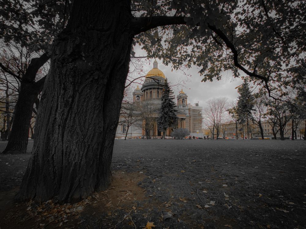 Фотография автора Sergey Sokolovsky