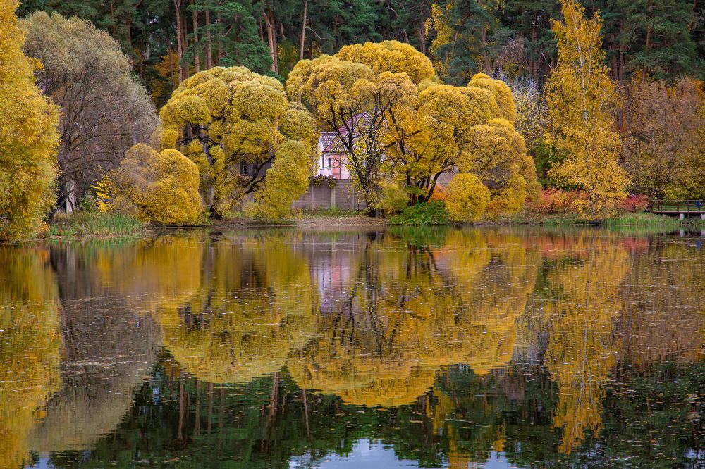 Photograph by Александр