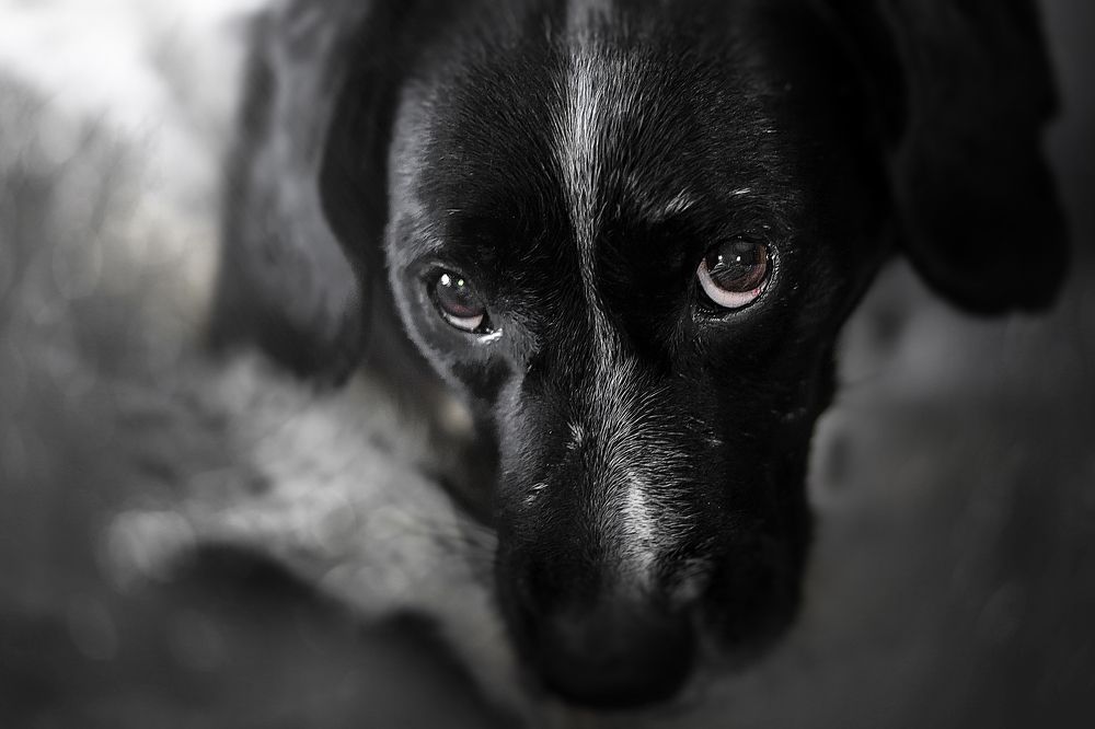 Photograph by Ольга Калимулина