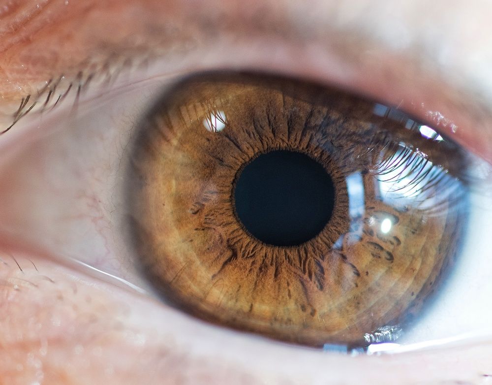 Photograph by Charis Christoforou