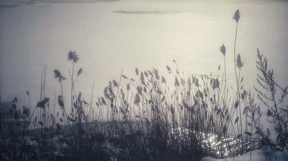 Photograph by Алёна